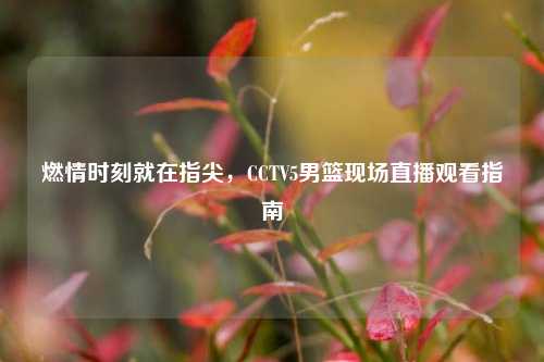 燃情时刻就在指尖,CCTV5男篮现场直播观看指南