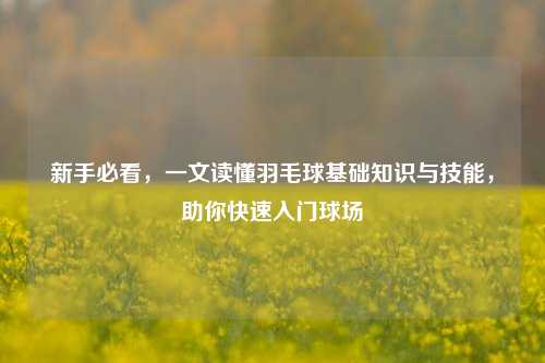 新手必看，一文读懂羽毛球基础知识与技能，助你快速入门球场