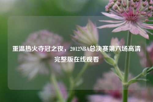 重温热火夺冠之夜,2012NBA总决赛第六场高清完整版在线观看