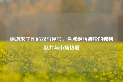 绝地求生PUBG双马尾号,盘点绝版装扮的独特魅力与市场热度