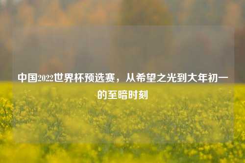 中国2022世界杯预选赛,从希望之光到大年初一的至暗时刻