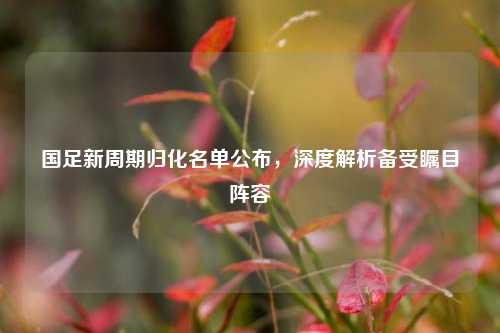 国足新周期归化名单公布,深度解析备受瞩目阵容