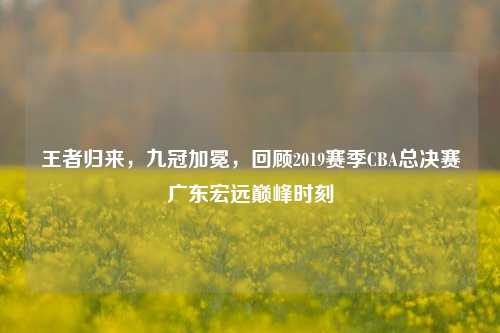 王者归来,九冠加冕,回顾2019赛季CBA总决赛广东宏远巅峰时刻
