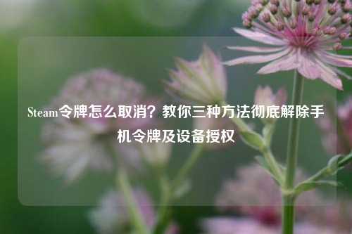 Steam令牌怎么取消?教你三种方法彻底解除手机令牌及设备授权