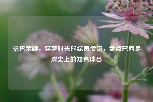 桑巴荣耀,穿越时光的绿茵传奇,盘点巴西足球史上的知名球员