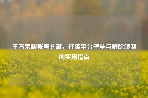 王者荣耀账号分离,打破平台壁垒与解除限制的实用指南