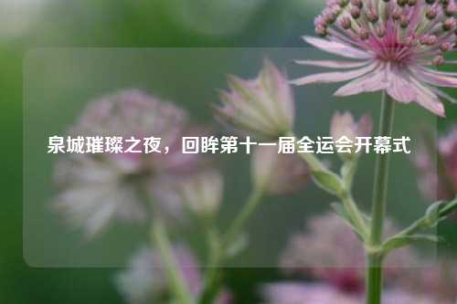 泉城璀璨之夜，回眸第十一届全运会开幕式