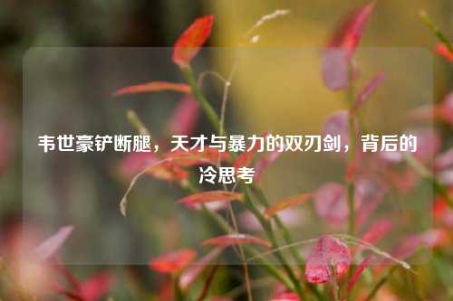 韦世豪铲断腿,天才与暴力的双刃剑,背后的冷思考