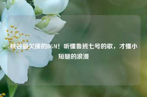 峡谷最欠揍的BGM!听懂鲁班七号的歌,才懂小短腿的浪漫