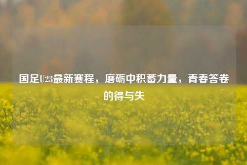 国足U23最新赛程,磨砺中积蓄力量,青春答卷的得与失