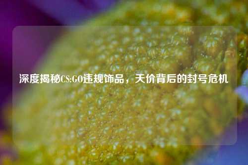 深度揭秘CS:GO违规饰品,天价背后的封号危机