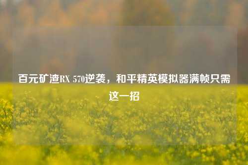百元矿渣RX 570逆袭,和平精英模拟器满帧只需这一招