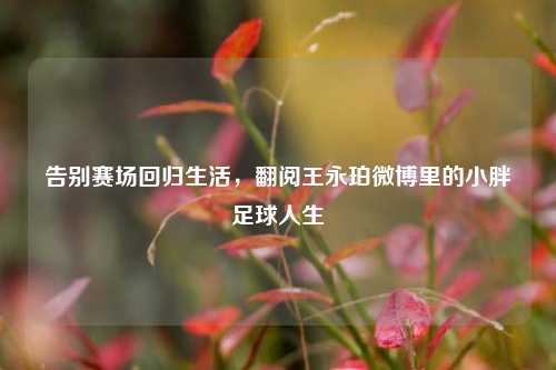 告别赛场回归生活，翻阅王永珀微博里的小胖足球人生