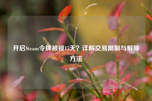开启Steam令牌被锁15天?详解交易限制与解除方法