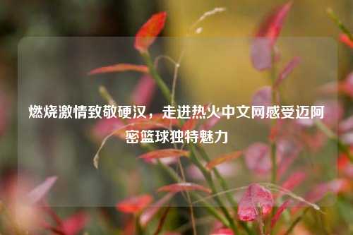 燃烧激情致敬硬汉,走进热火中文网感受迈阿密篮球独特魅力