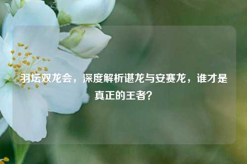羽坛双龙会，深度解析谌龙与安赛龙，谁才是真正的王者？