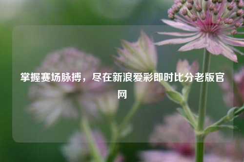 掌握赛场脉搏,尽在新浪爱彩即时比分老版官网
