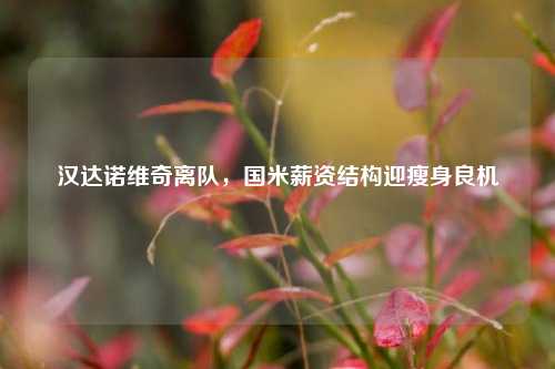 汉达诺维奇离队,国米薪资结构迎瘦身良机