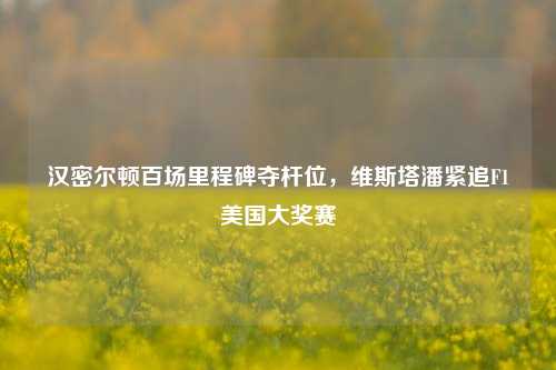 汉密尔顿百场里程碑夺杆位,维斯塔潘紧追F1美国大奖赛