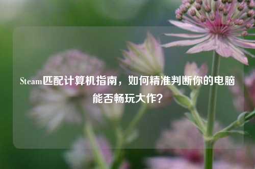 Steam匹配计算机指南,如何精准判断你的电脑能否畅玩大作?