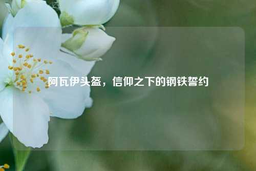 阿瓦伊头盔,信仰之下的钢铁誓约