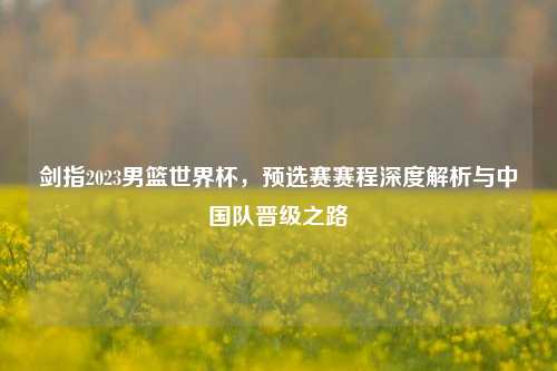 剑指2023男篮世界杯,预选赛赛程深度解析与中国队晋级之路