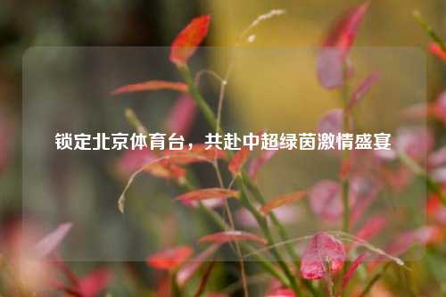 锁定北京体育台,共赴中超绿茵激情盛宴