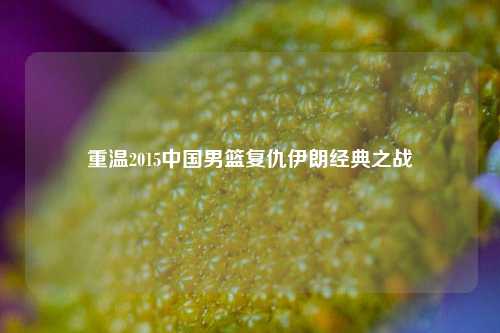 重温2015中国男篮复仇伊朗经典之战