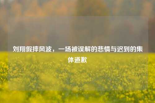 刘翔假摔风波,一场被误解的悲情与迟到的集体道歉