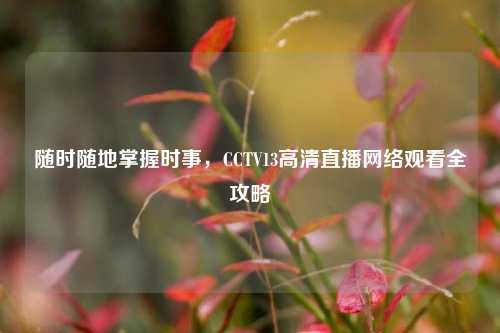 随时随地掌握时事,CCTV13高清直播网络观看全攻略