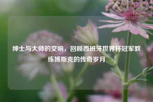 绅士与大师的交响，回顾西班牙世界杯冠军教练博斯克的传奇岁月