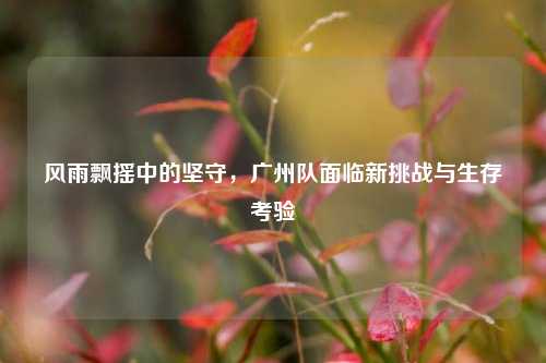 风雨飘摇中的坚守，广州队面临新挑战与生存考验