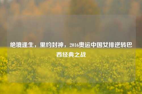 绝境逢生,里约封神,2016奥运中国女排逆转巴西经典之战