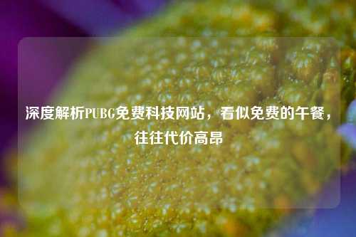深度解析PUBG免费科技网站,看似免费的午餐,往往代价高昂