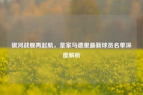 银河战舰再起航,皇家马德里最新球员名单深度解析
