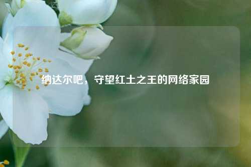 纳达尔吧，守望红土之王的网络家园