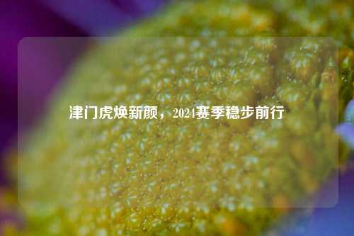 津门虎焕新颜,2024赛季稳步前行