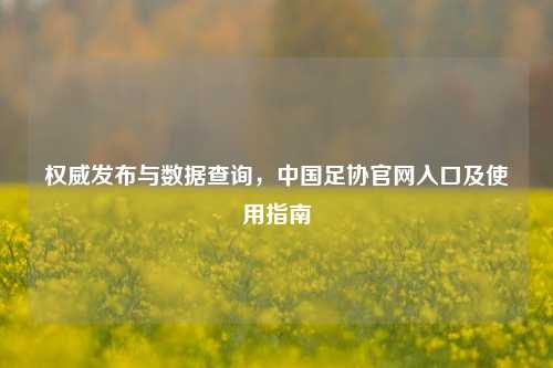 权威发布与数据查询，中国足协官网入口及使用指南