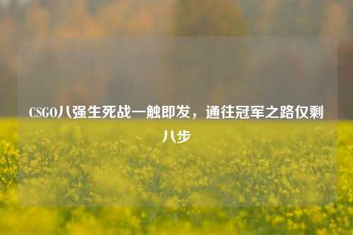 CSGO八强生死战一触即发，通往冠军之路仅剩八步
