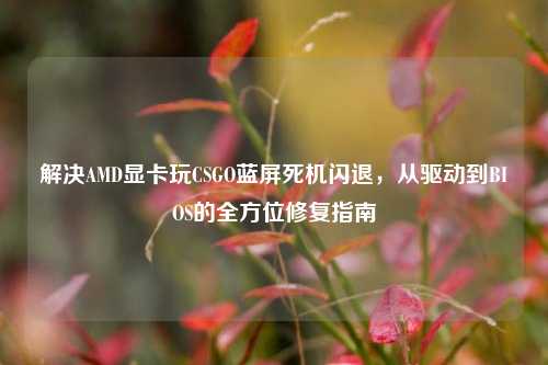 解决AMD显卡玩CSGO蓝屏死机闪退，从驱动到BIOS的全方位修复指南
