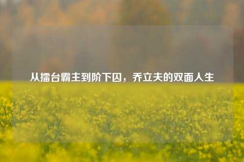 从擂台霸主到阶下囚，乔立夫的双面人生
