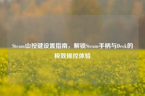 Steam山按键设置指南,解锁Steam手柄与Deck的极致操控体验